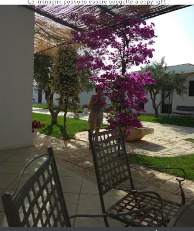 Room In Bb - Stunning Quadruple Room In Ancient Masseria Near The Sea In A Quiet Olive Trees Ostuni Exteriér fotografie